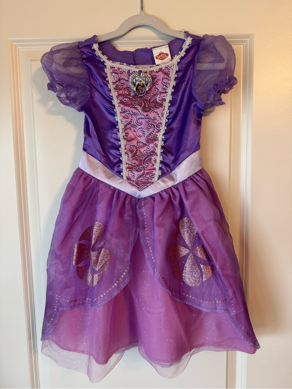 Disney Sophia the First Princess Dress Costume